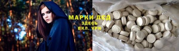гидра Алексин