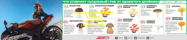 ПСИЛОЦИБИНОВЫЕ ГРИБЫ Алексеевка
