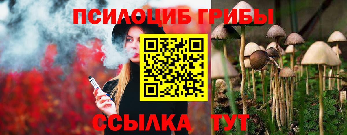Галлюциногенные грибы GOLDEN TEACHER Сокол