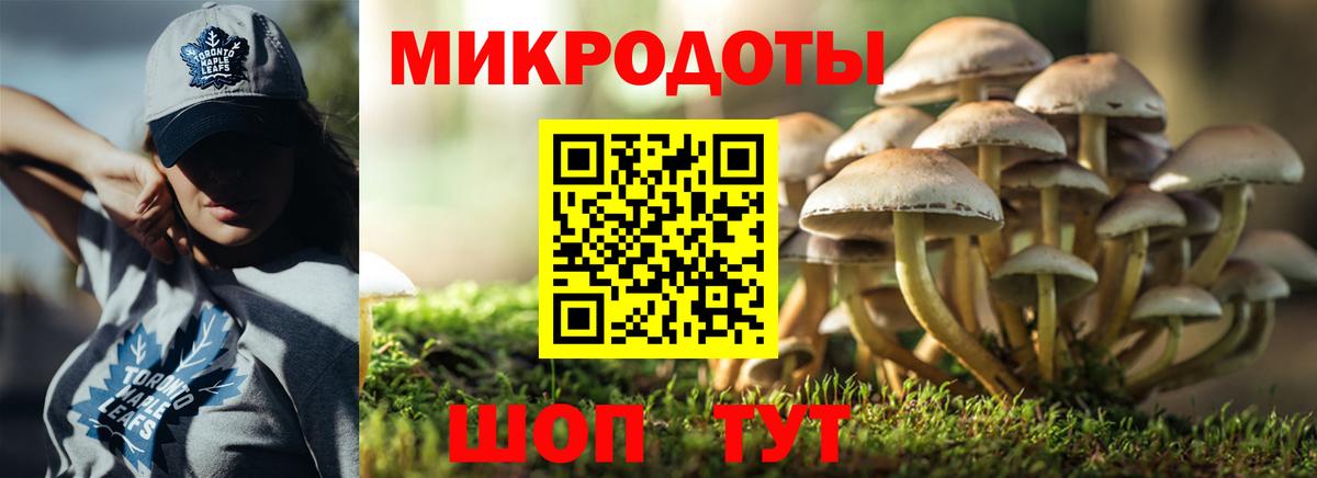 Псилоцибиновые грибы Psilocybe  Вход с VPN  Сокол 